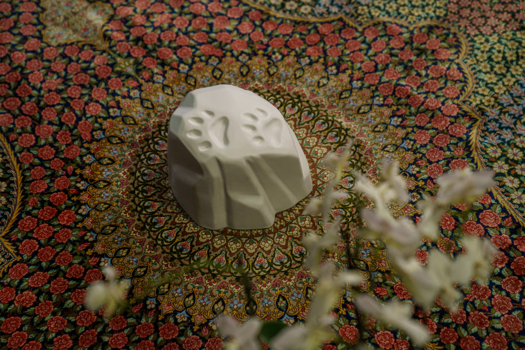 Paw Print Urna per Ceneri Animali - RECENSIONE PRODOTTO 2024