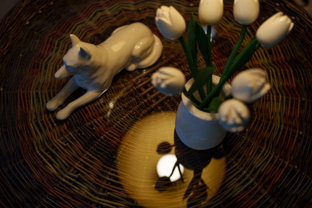 L’Aldilà degli Animali: Perché onoriamo la morte degli animali domestici – e cosa questo rivela su di noi