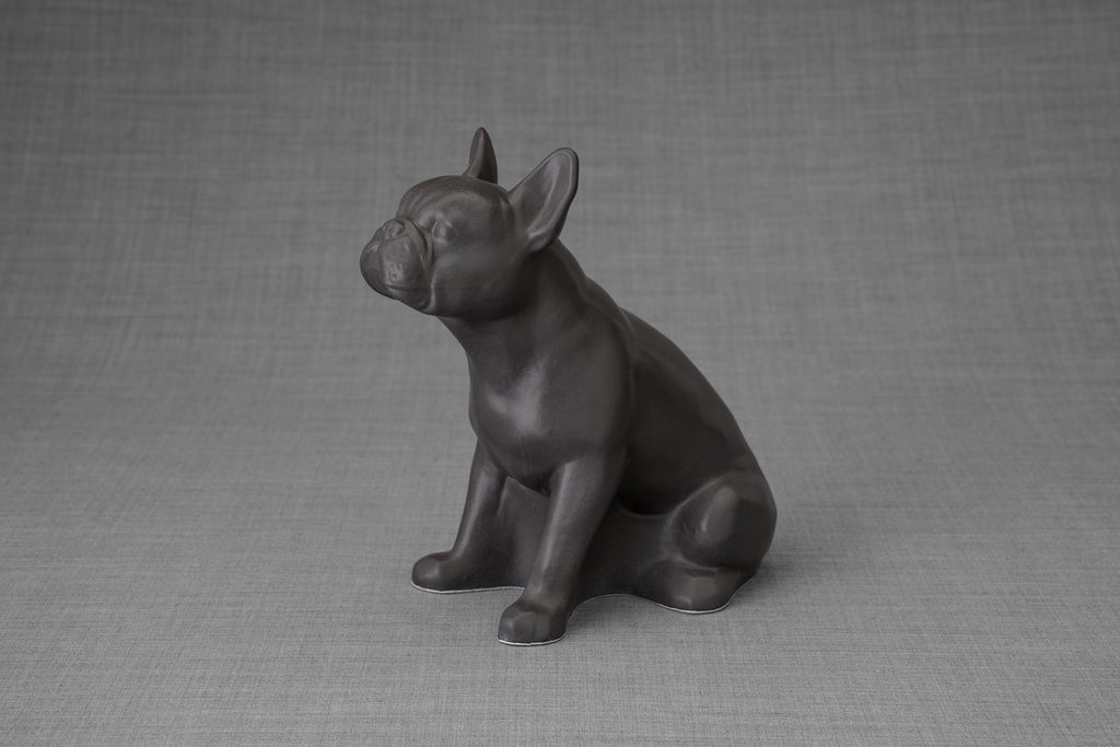 Bulldog francese - Grigio opaco
