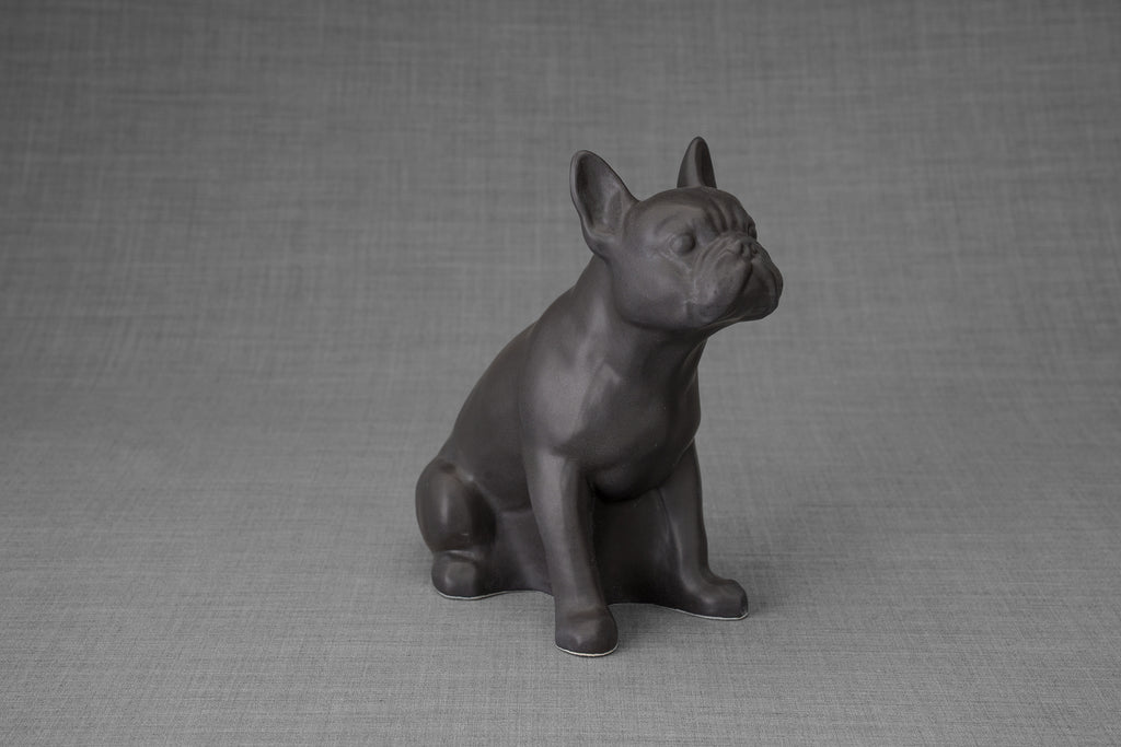 Bulldog francese - Grigio opaco