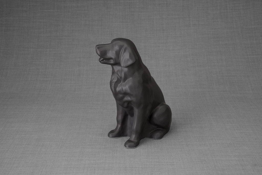 Urna per la cremazione di un Golden Retriever