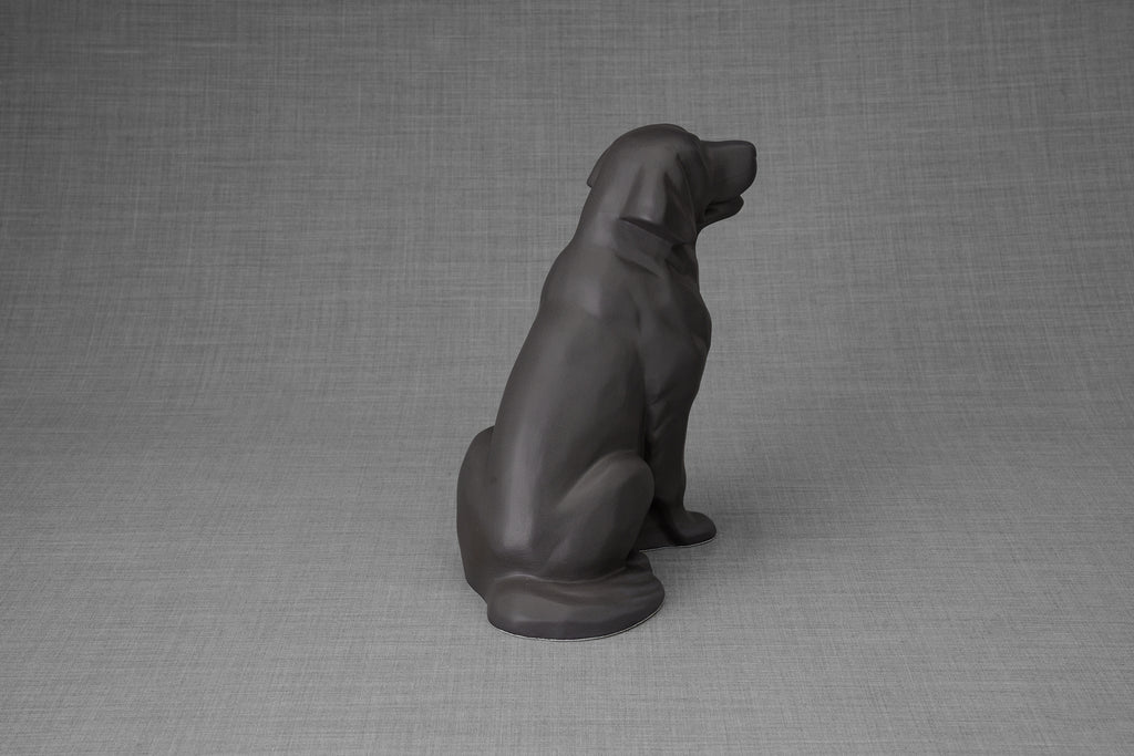 Urna per la cremazione di un Golden Retriever