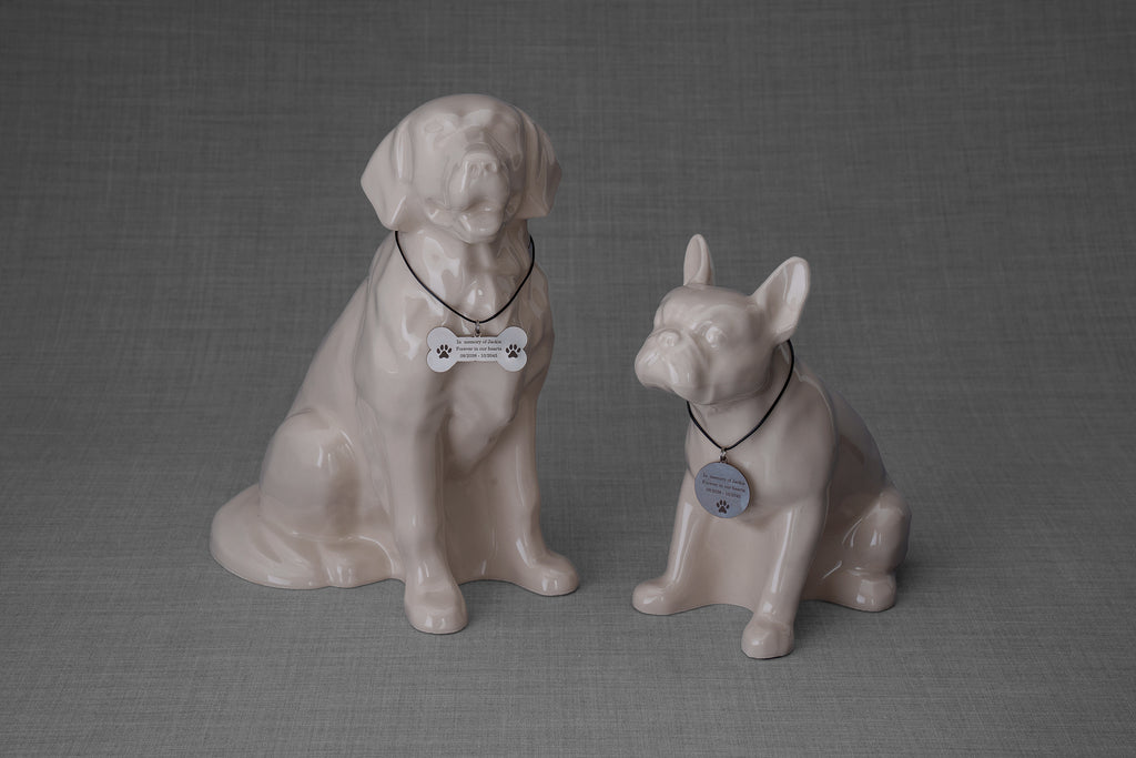 Collana per animali domestici da personalizzare | Acciaio inossidabile