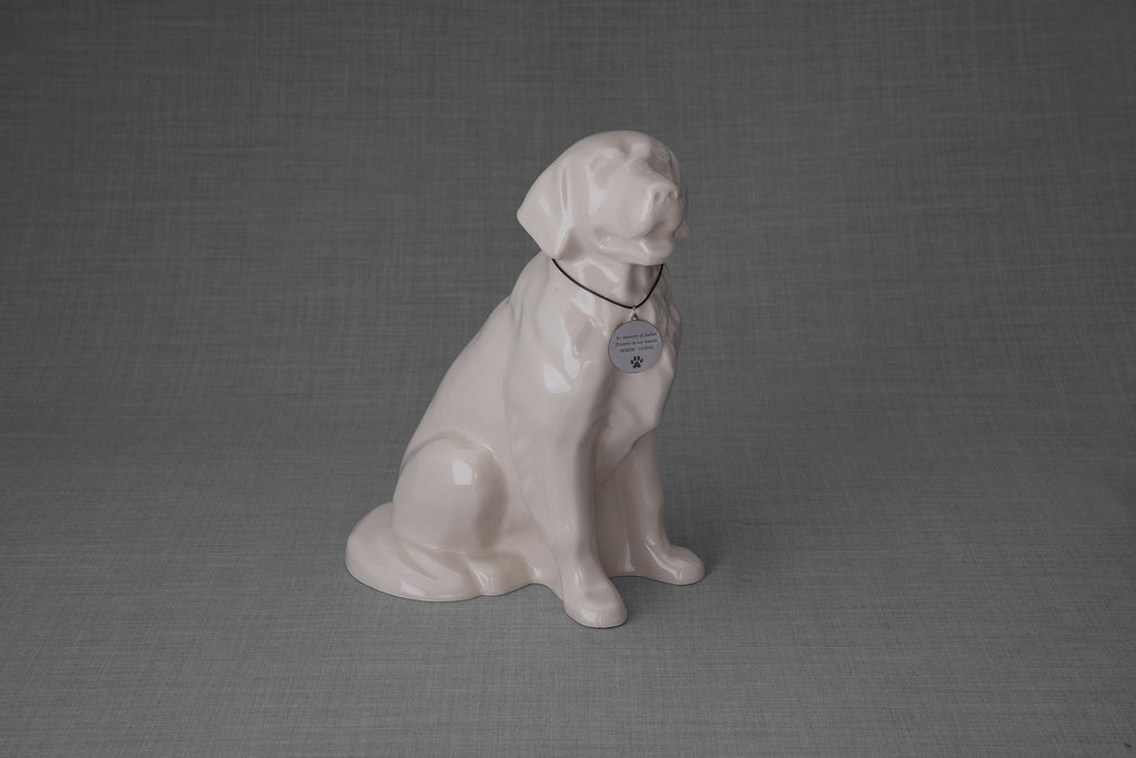 Collana per animali domestici da personalizzare | Acciaio inossidabile