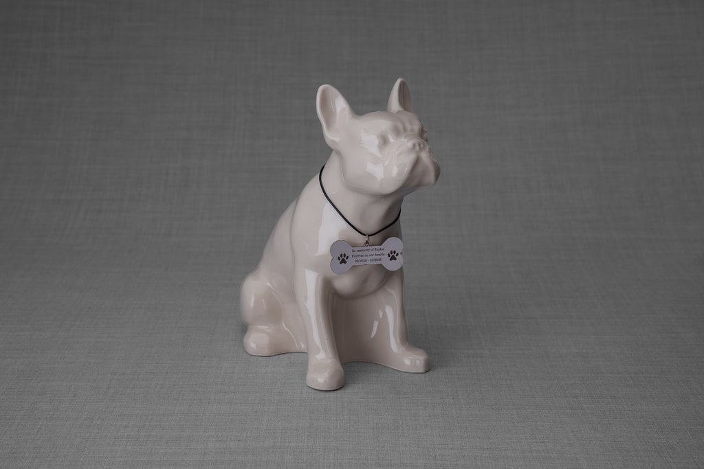 Collana per animali domestici da personalizzare | Acciaio inossidabile