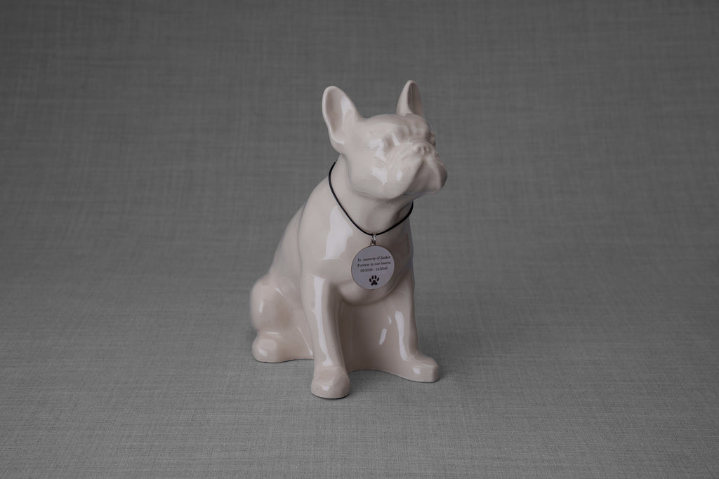 Collana per animali domestici da personalizzare | Acciaio inossidabile