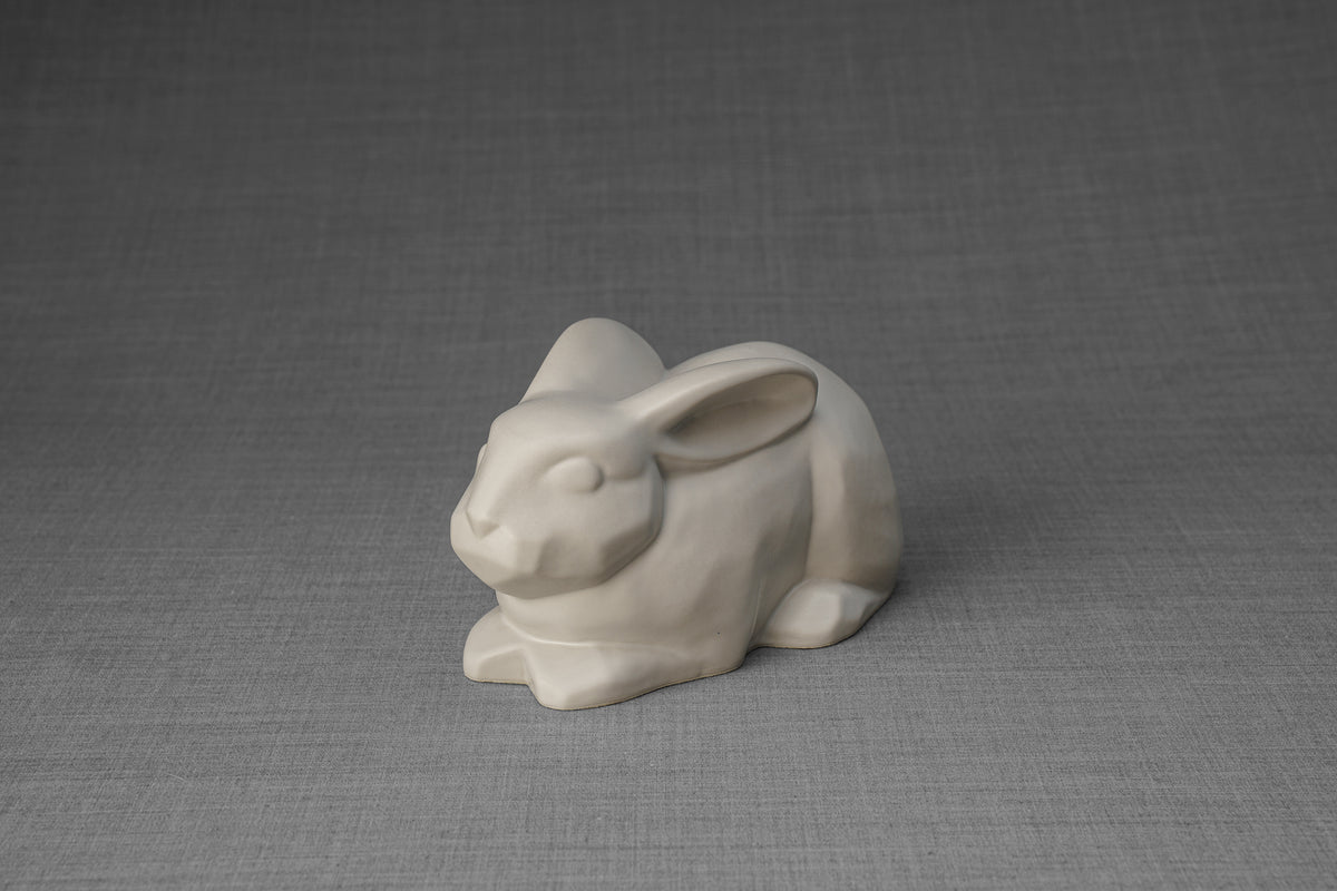 Minicremation Braccialetto con urna per ceneri in acciaio inox intrecciato, per uomini e donne, braccialetto commemorativo per animali domestici umani, Acciaio inossidabile, Nessuna pietra preziosa