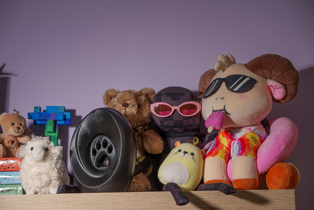 Urna per Cremazione Legacy Paw - Nero | Urna per Animali