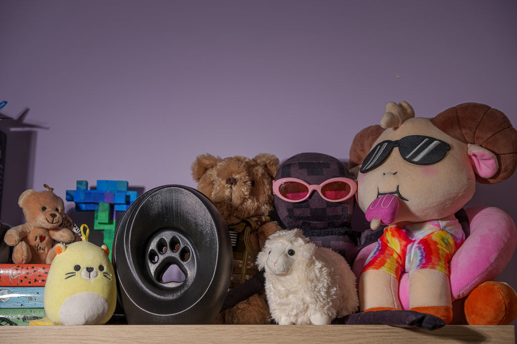 Urna per Cremazione Legacy Paw - Nero | Urna per Animali